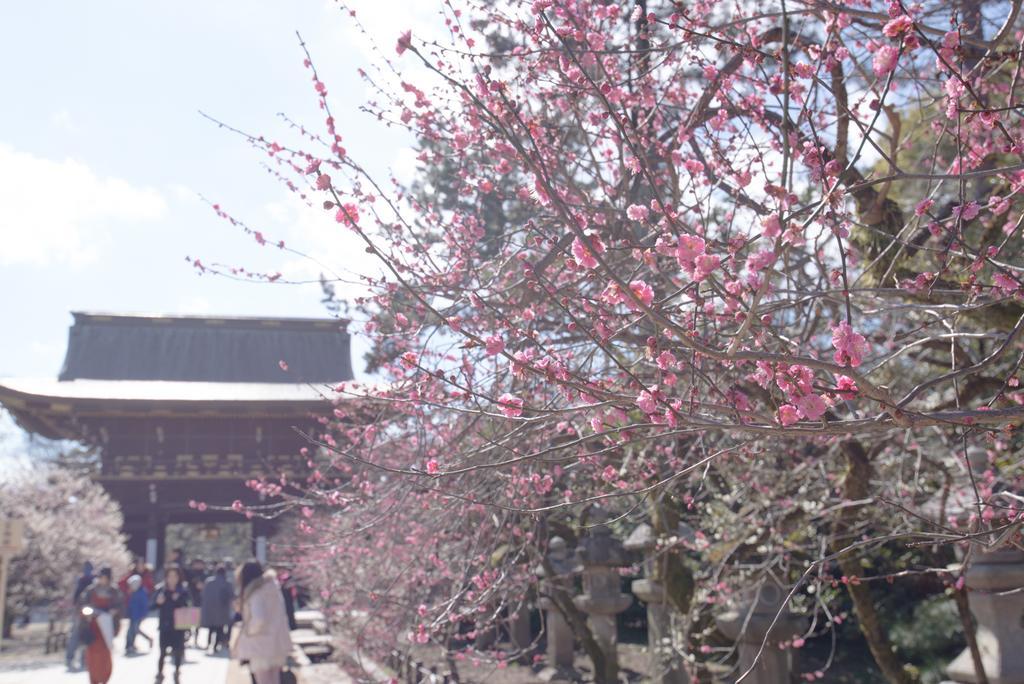 京都市 Le Machiya Kamishichikenヴィラ エクステリア 写真